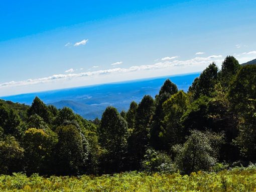 Shenandoah National Park