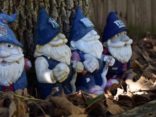 The Gnome Graveyard